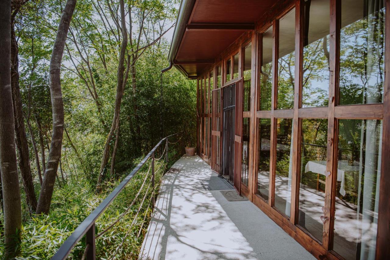 Villa Schindler Manerba del Garda Exterior foto