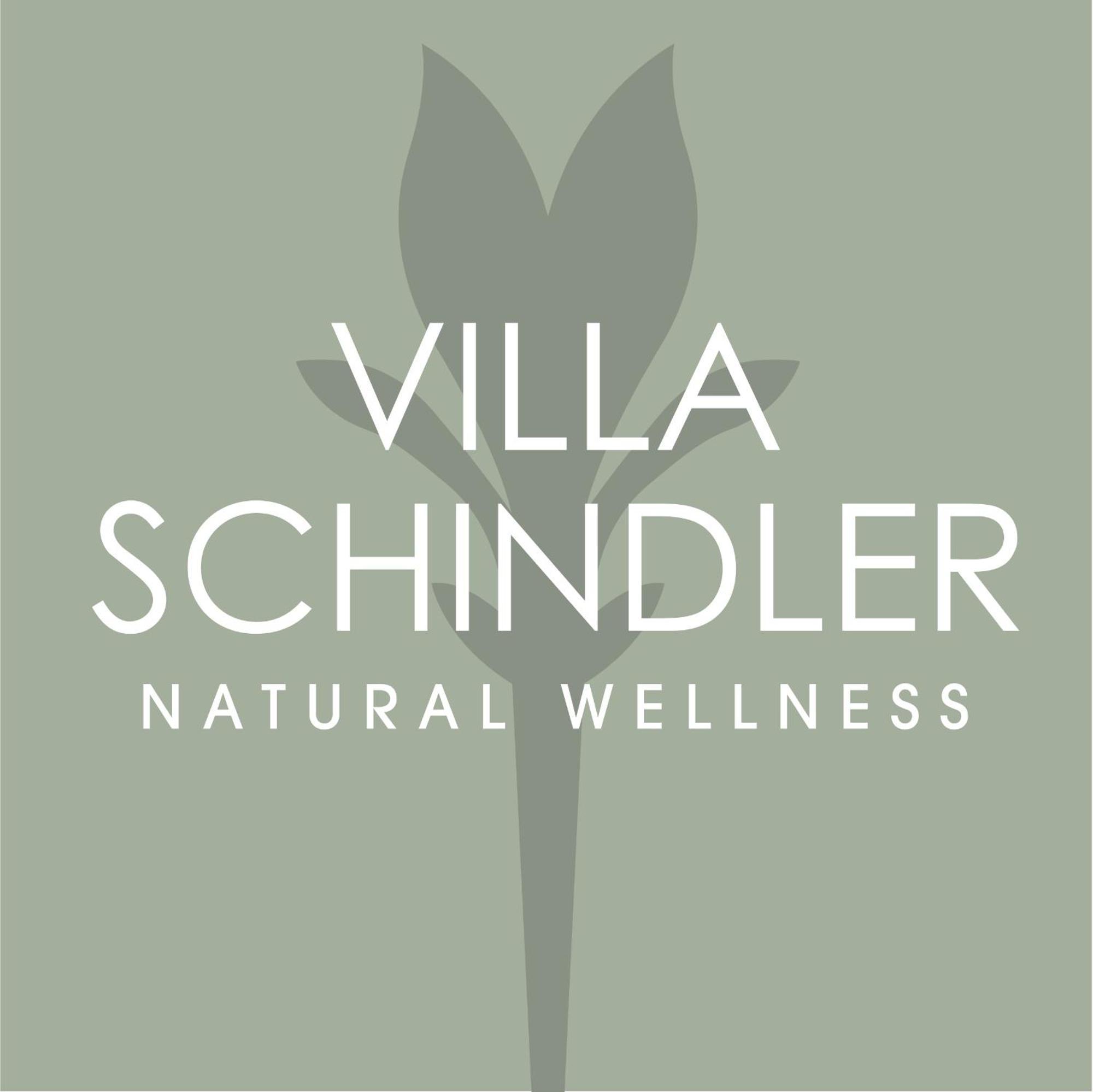 Villa Schindler Manerba del Garda Exterior foto
